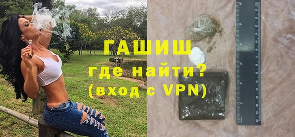 PSILOCYBIN Белокуриха