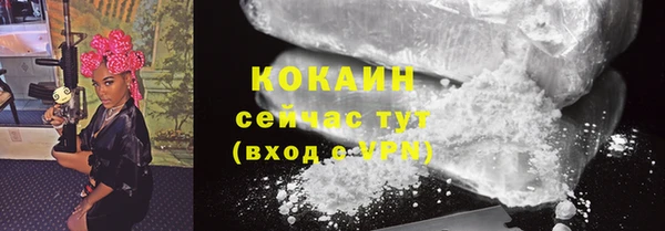 PSILOCYBIN Белокуриха