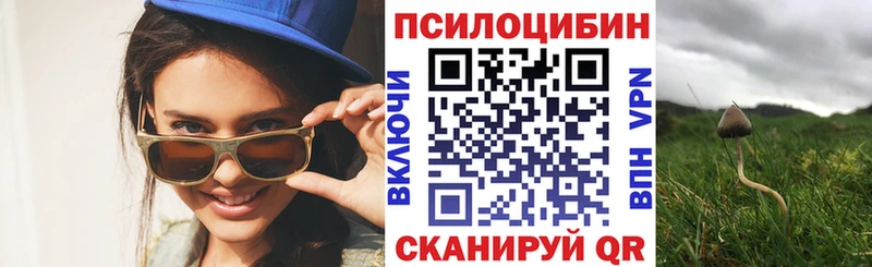 сколько стоит  Бородино  Псилоцибиновые грибы Magic Shrooms 